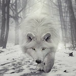 Meet your Posher, Phil